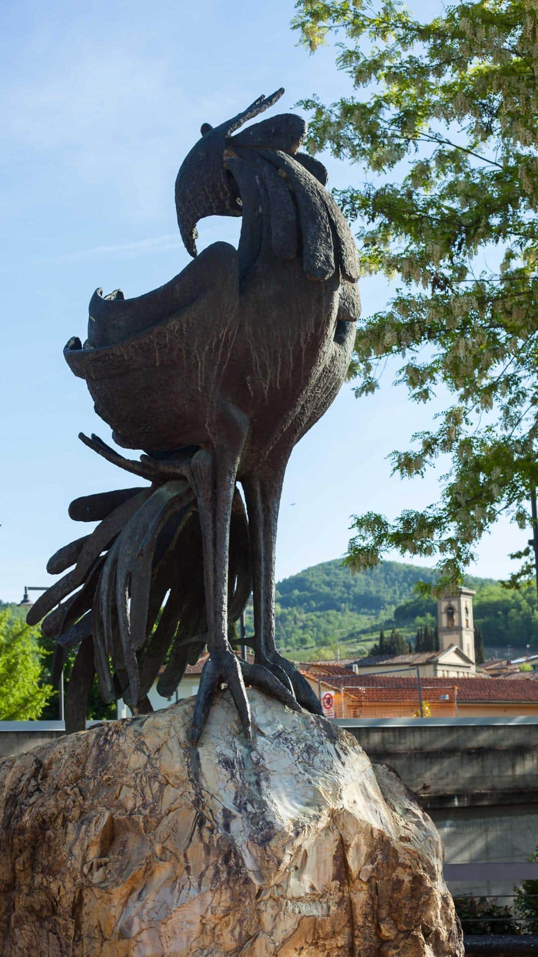 Gallo Nero (3)